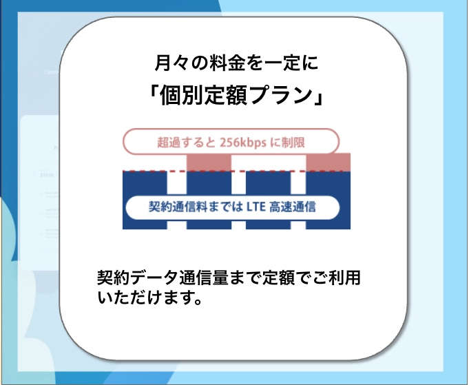 個別定額プラン